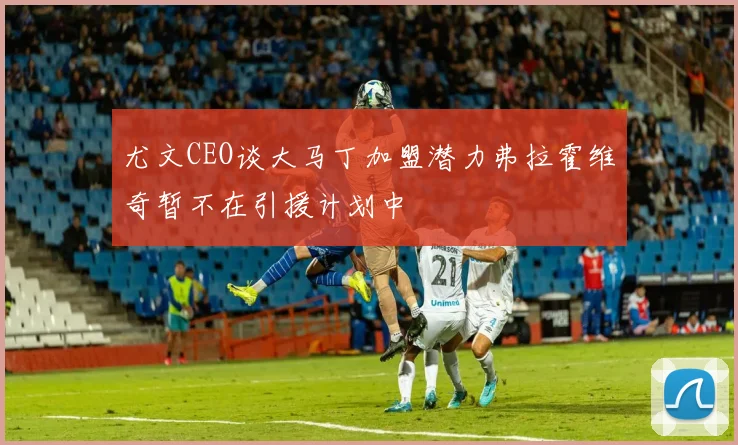 尤文CEO谈大马丁加盟潜力弗拉霍维奇暂不在引援计划中