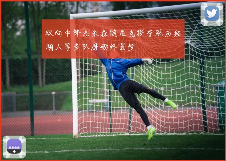 双向中锋杰米森随尼克斯夺冠历经湖人等多队磨砺终圆梦